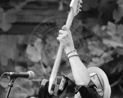 Culture et Patrimoine N&B - Photo. sensible... au naturel Photographie - extrait du groupe "Gazoil cat" en concert au café-librairie "le Fil" à Coutures (49) …pour tous les danseurs chevronnés @gasoilcat