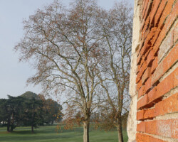 Culture et patrimoine - Photo. sensible... au naturel Photographie - "Golf d'Angers" - le golf grandeur nature aux GARENNES SUR LOIRE (49)