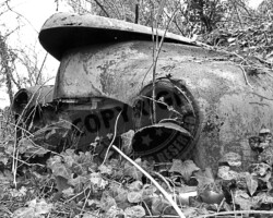 Nature et Environnement - Photo. sensible... au naturel Épave laissée dans un bois du sud Loire…