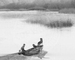 Nature et Environnement - Photo. sensible... au naturel Un ligérien et ses chiens sur une petite embarcation… traversée de la Loire (LE THOUREIL) #valléedelaLoire - #anjou #anjoutourisme (Maine-et-Loire)