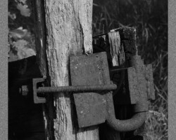 Parcs et Jardins - Photo. sensible... au naturel Vieille ferrure de vieux portail… C'est drôle tout ce que l'on peut faire avec. J'en ai pris plein les yeux pendant une 1/2 heure et je vous en montre un morceau ici