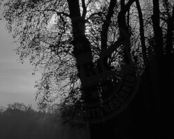 Culture et patrimoine - Photo. sensible... au naturel Photographie - "Golf d'Angers" - le golf grandeur nature aux GARENNES SUR LOIRE (49)