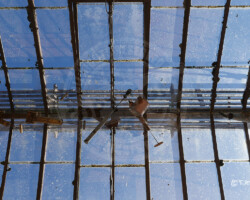 Photographie insolite - outils de jardin - Photo. sensible... au naturel … qui a mis les outils de jardin la haut ?