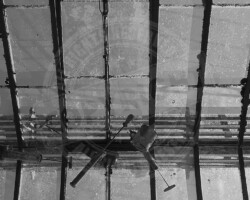 Photographie insolite - outils de jardin - Photo. sensible... au naturel … qui a mis les outils de jardin la haut ?