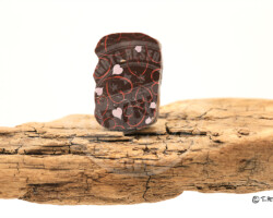 Reprographie et Studio - Photo. sensible... au naturel Mélange de matières : Bois flotté / Chocolat. Idéal pour mettre en scène naturelle - (Maine-et-Loire) #anjou