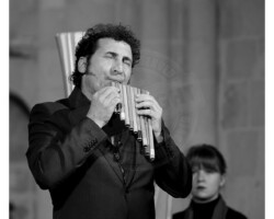 Culture et Patrimoine - Photo. sensible... au naturel Les résonances Saint-Martin - Collégiale Saint-Martin - Culture et Patrimoire #collegialesaintmartin