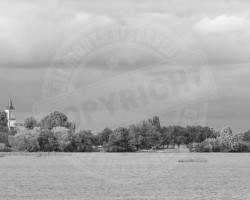 Nature et Environnement - Photo. sensible... au naturel … séduisante rive de la Loire - #valléedelaLoire - #anjou #anjoutourisme (Maine-et-Loire)